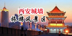 是看插逼视频中国陕西-西安城墙旅游风景区