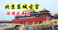 日小骚逼太爽了视频中国北京-东城古宫旅游风景区
